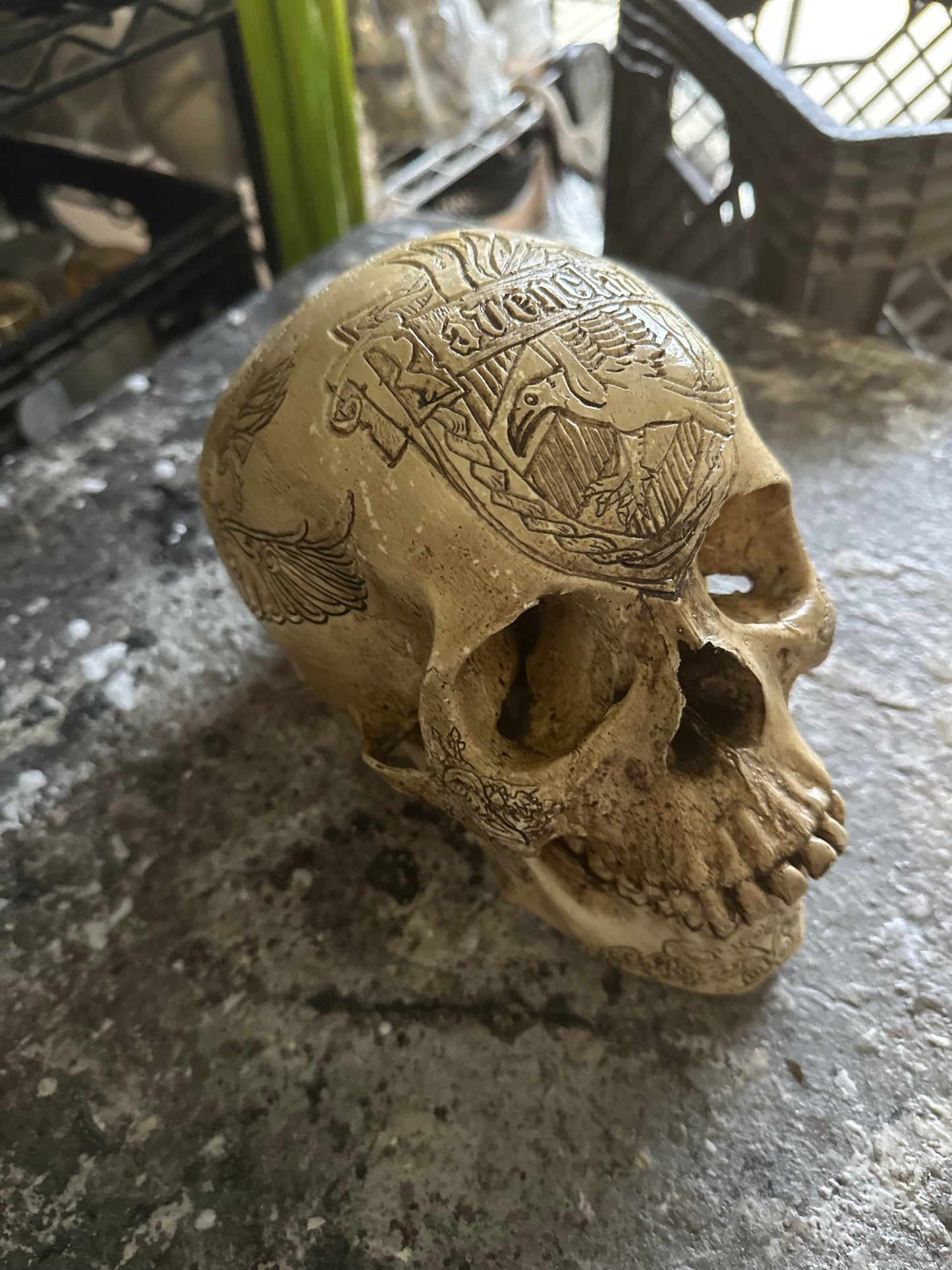 DEAL - Ravenclaw Skull