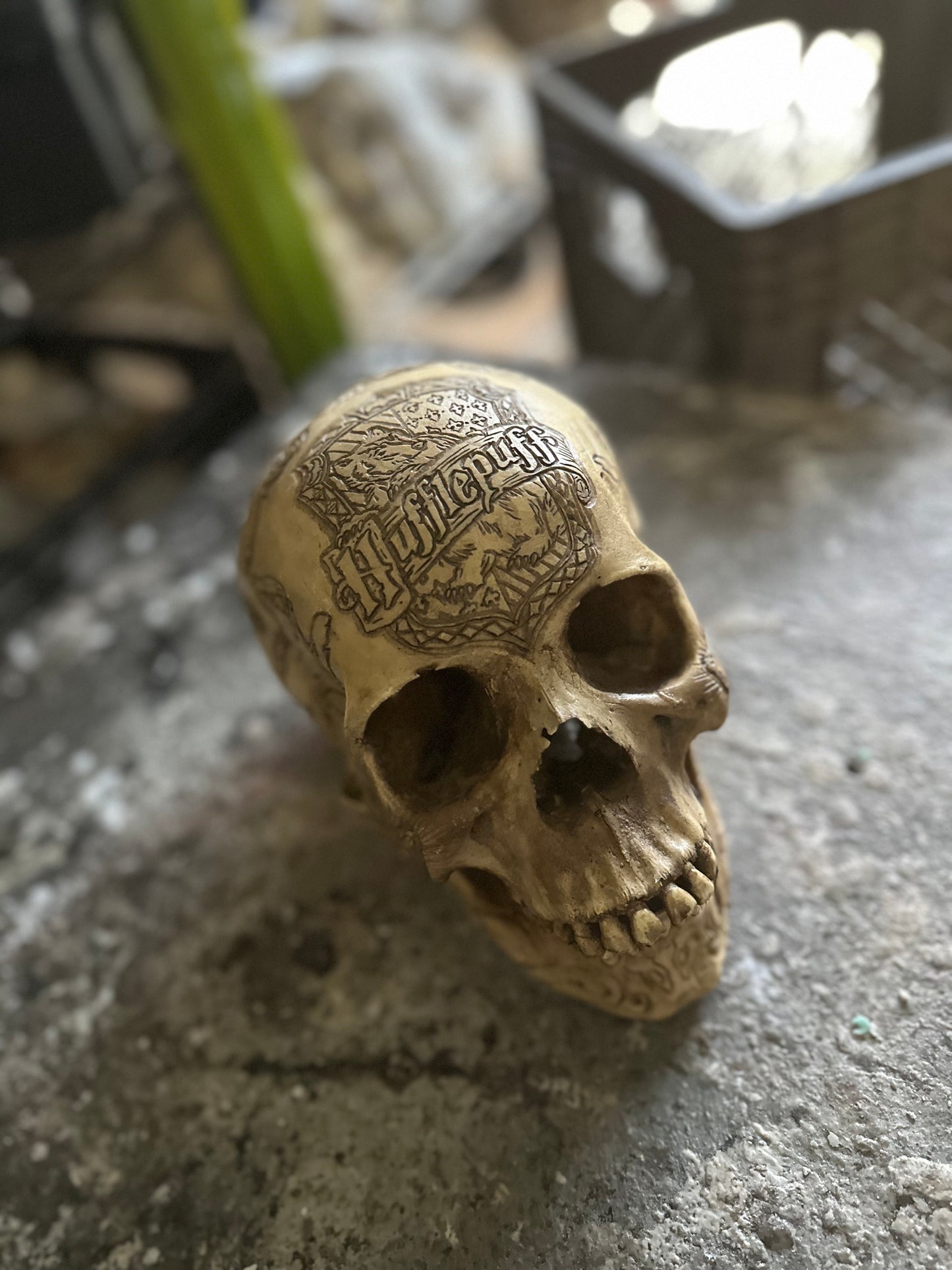 DEAL - Hufflepuff Skull