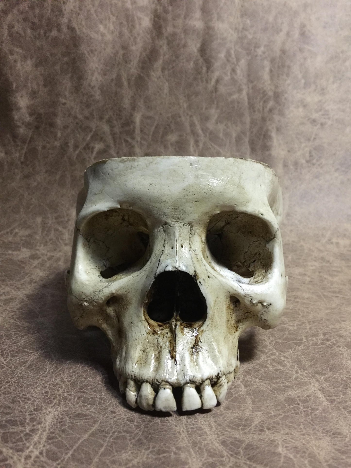 Skull Bowl - Female