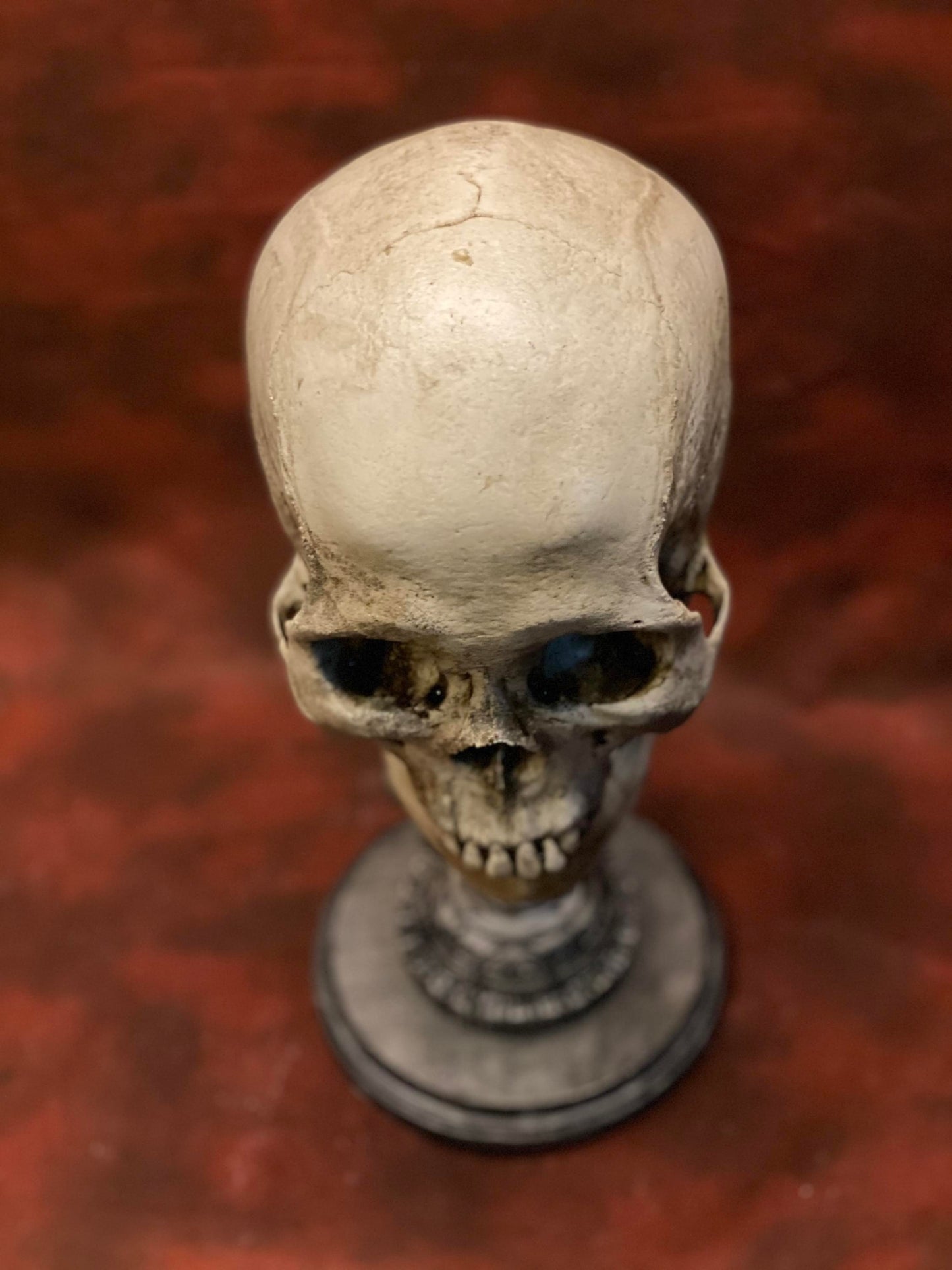 Uncarved Male Skull 2