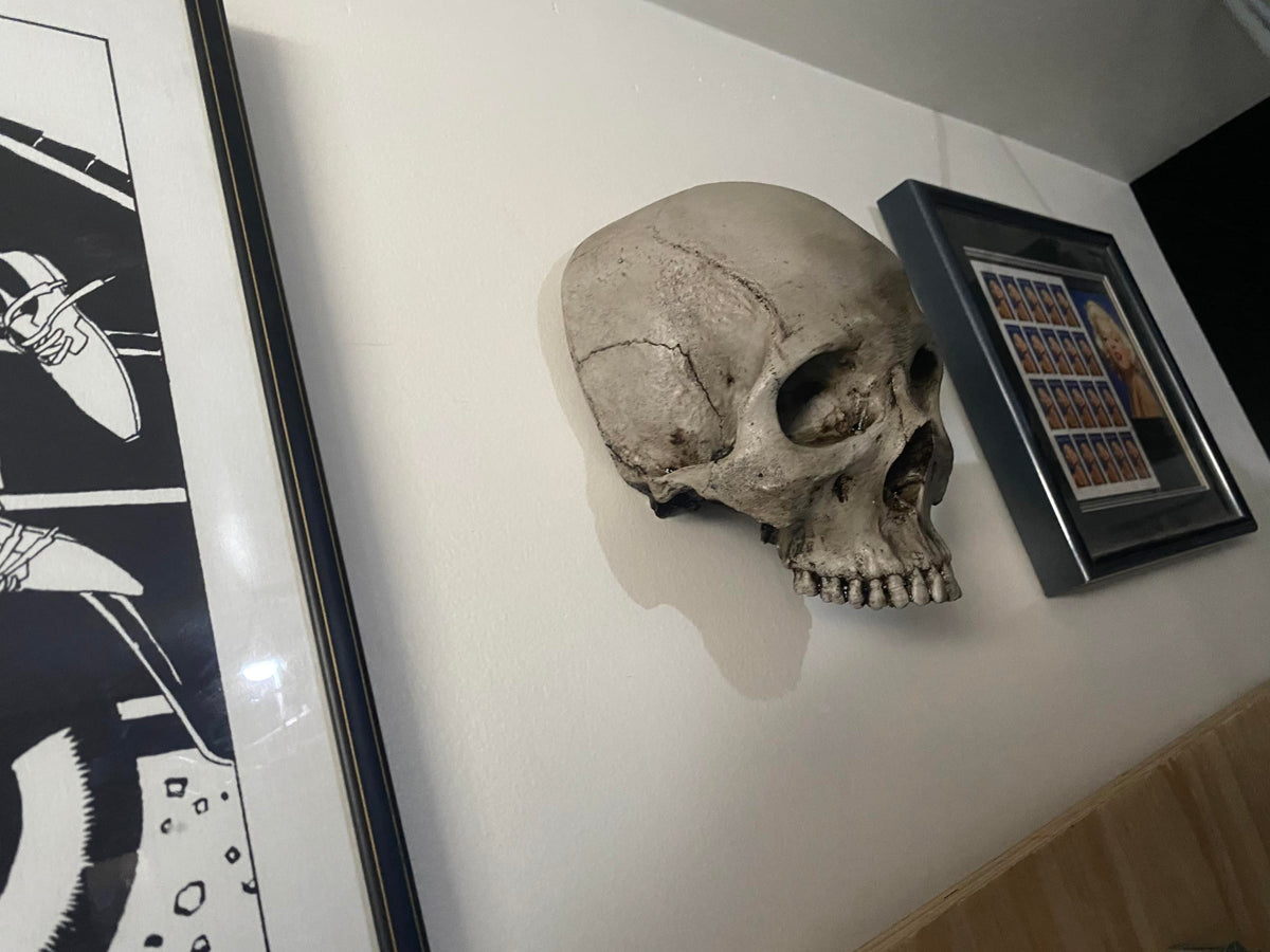 Wall Hung - Masonic Lodge Skull