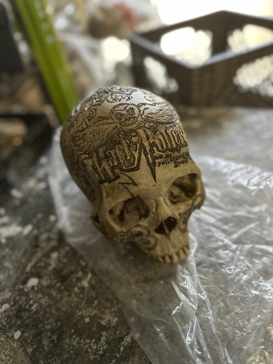 DEAL - Harry Potter Philosopher's Stone Skull