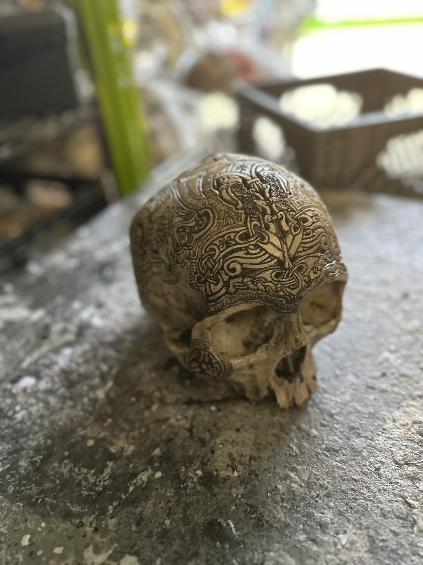 DEAL - Thor Ceremonial Skull