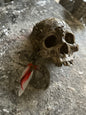 DEAL - Tiki Wall Hanging Skull