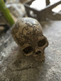 DEAL - Pirate Skull