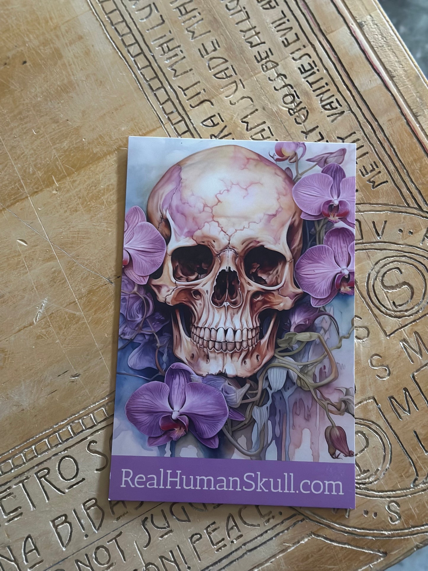 Wordy Skull Sketch - Odd Truce