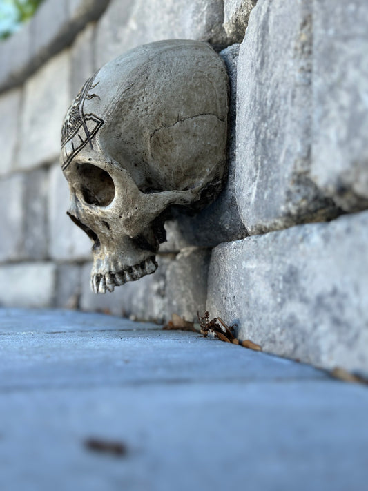 Wall Skull - Past Master