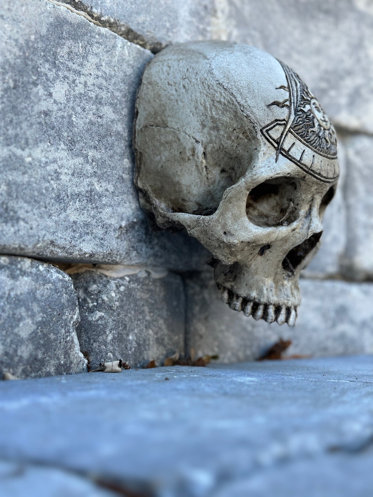 Wall Skull - Past Master