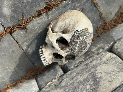 Wall Skull - Masonic G