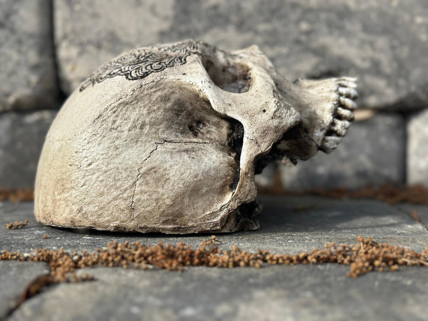 Wall Skull - Masonic G