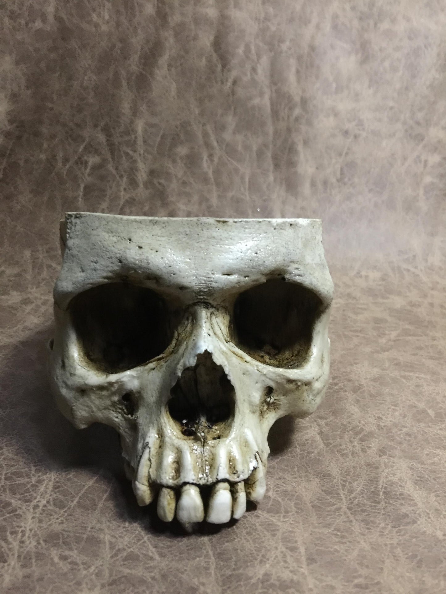 Skull Bowl - Male