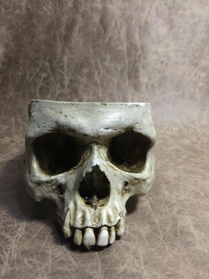 Skull Bowl - Male