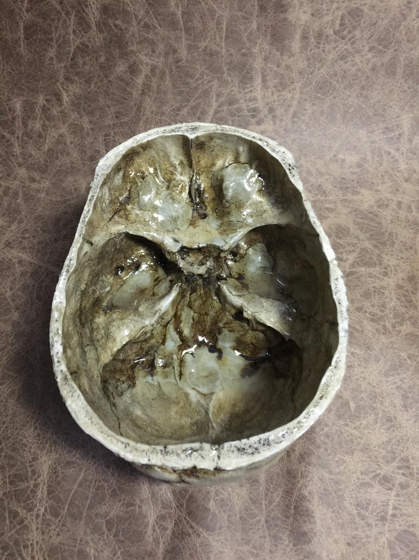 Skull Bowl - Male