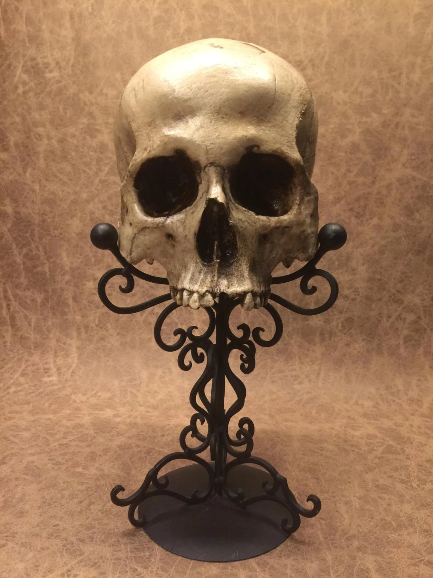 Replica - Deformed Human Skull