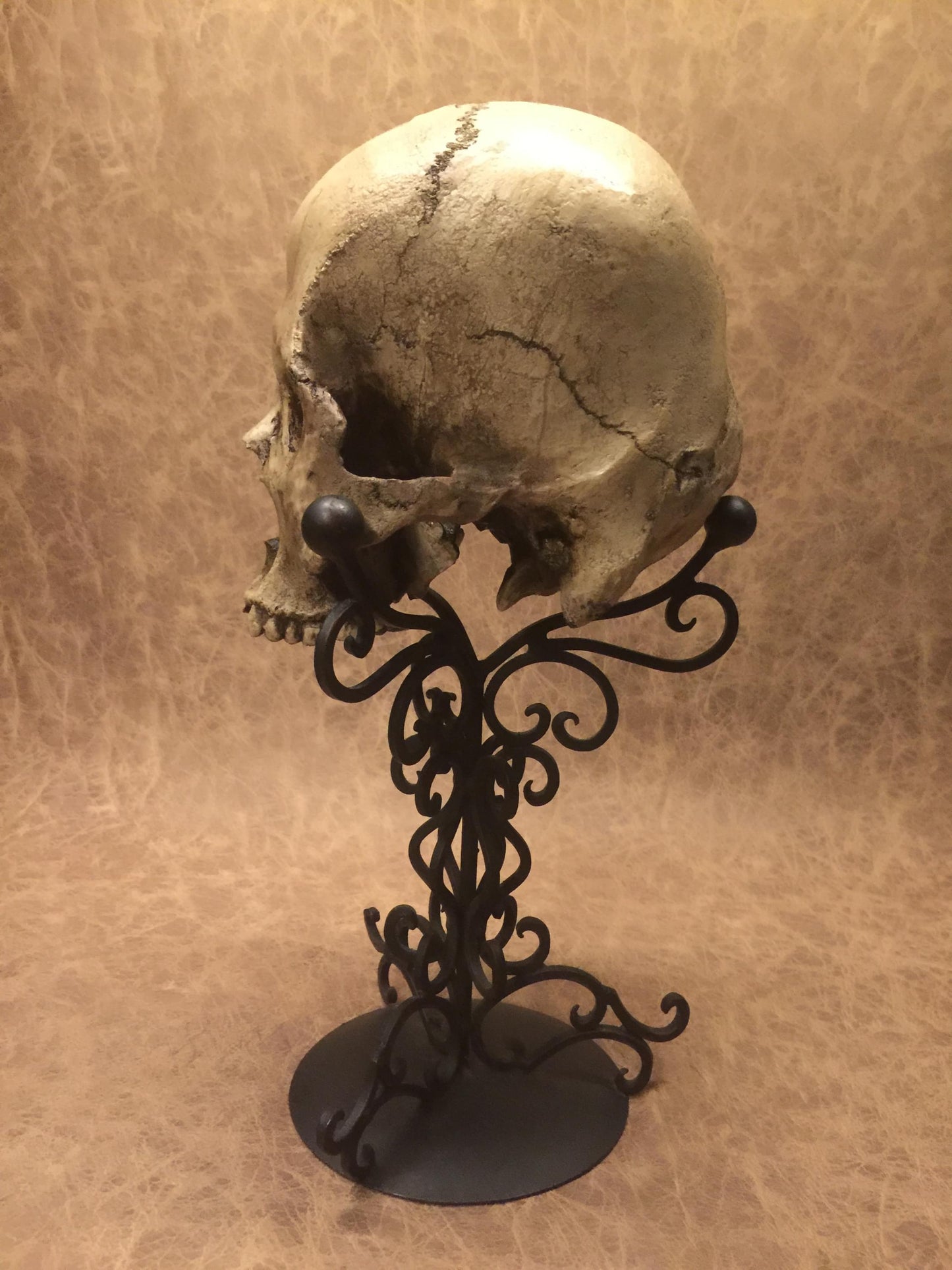 Replica - Deformed Human Skull