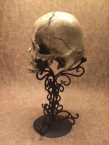 Replica - Deformed Human Skull