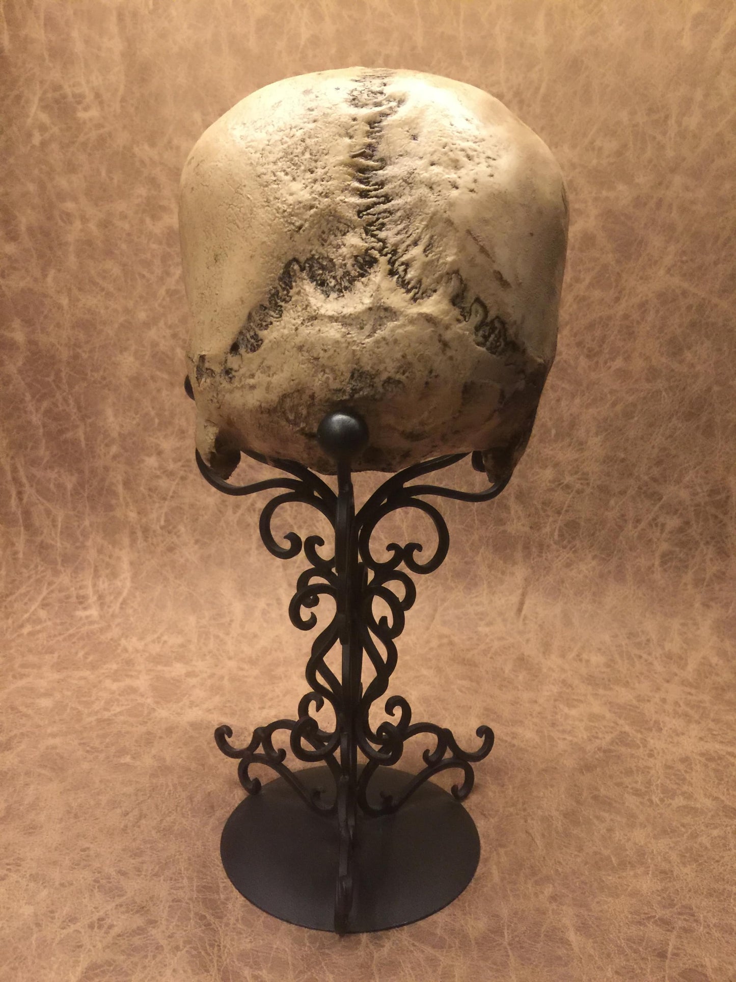 Replica - Deformed Human Skull