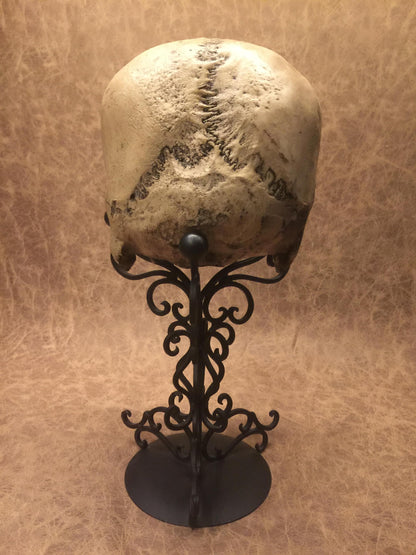 Replica - Deformed Human Skull