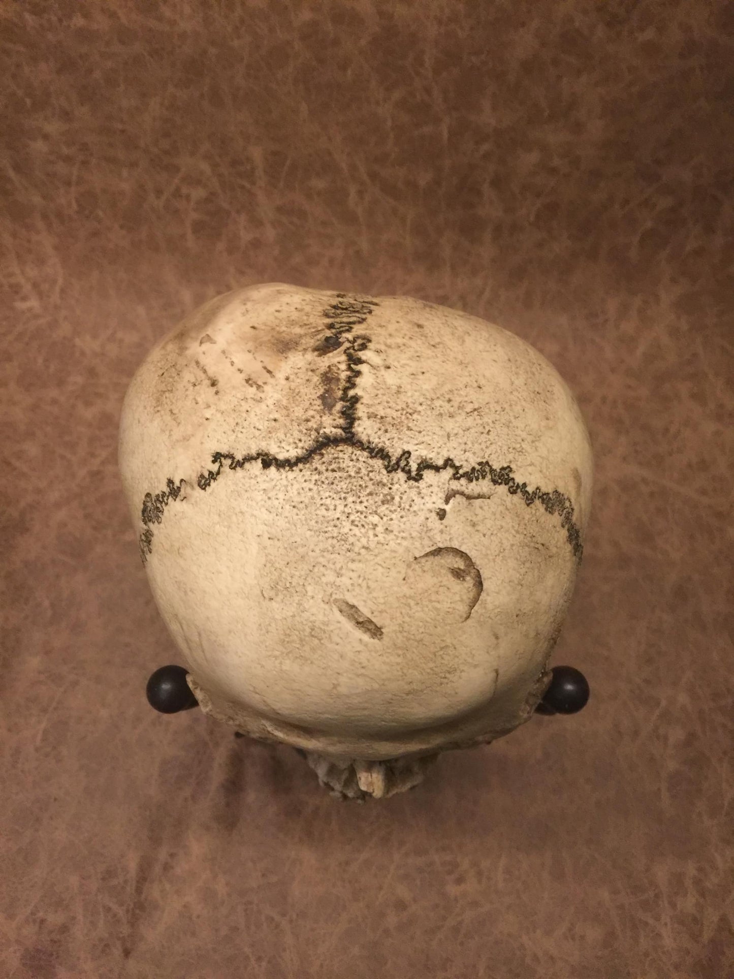 Replica - Deformed Human Skull