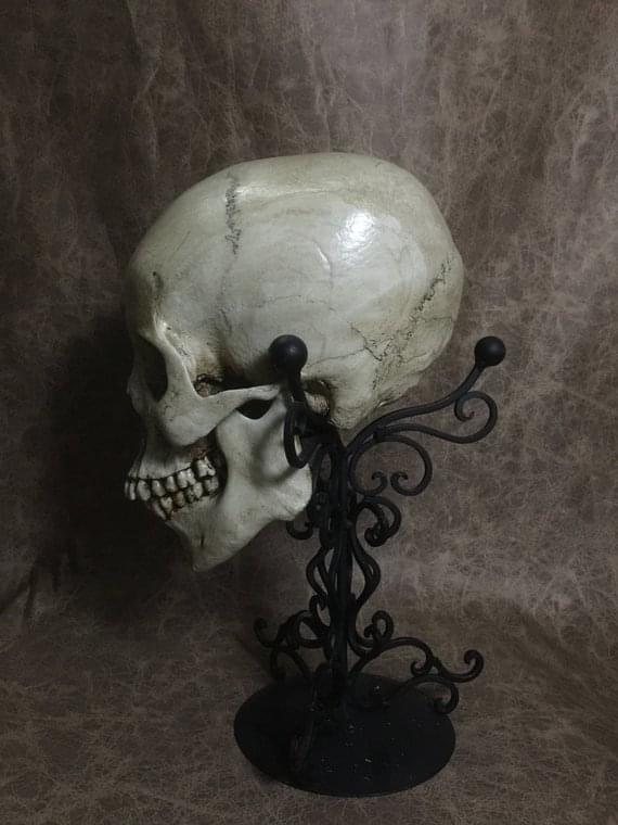 UnCarved Female Skull