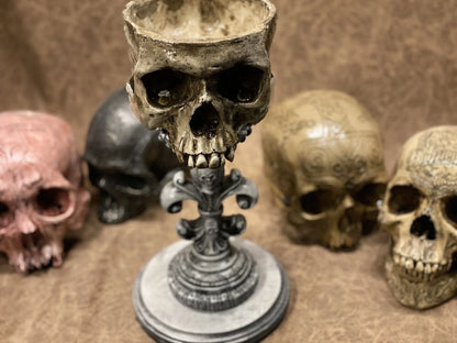 Fleur de lis - Skull Stand