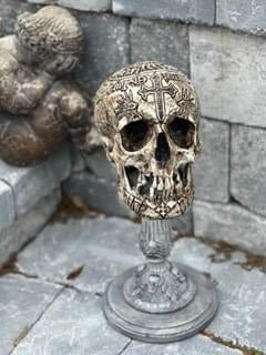 Seven Horned Lamb Skull