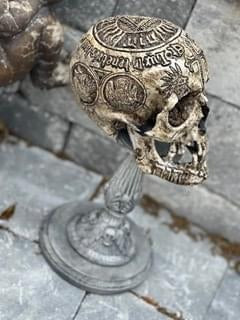 Seven Horned Lamb Skull