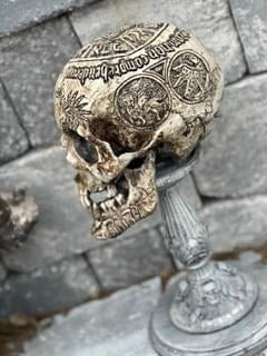 Seven Horned Lamb Skull