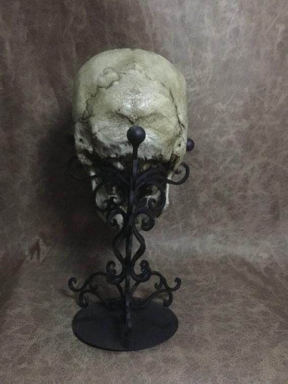 UnCarved Male Skull