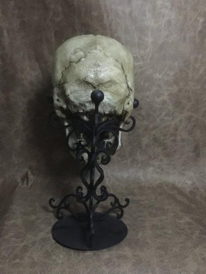 UnCarved Male Skull