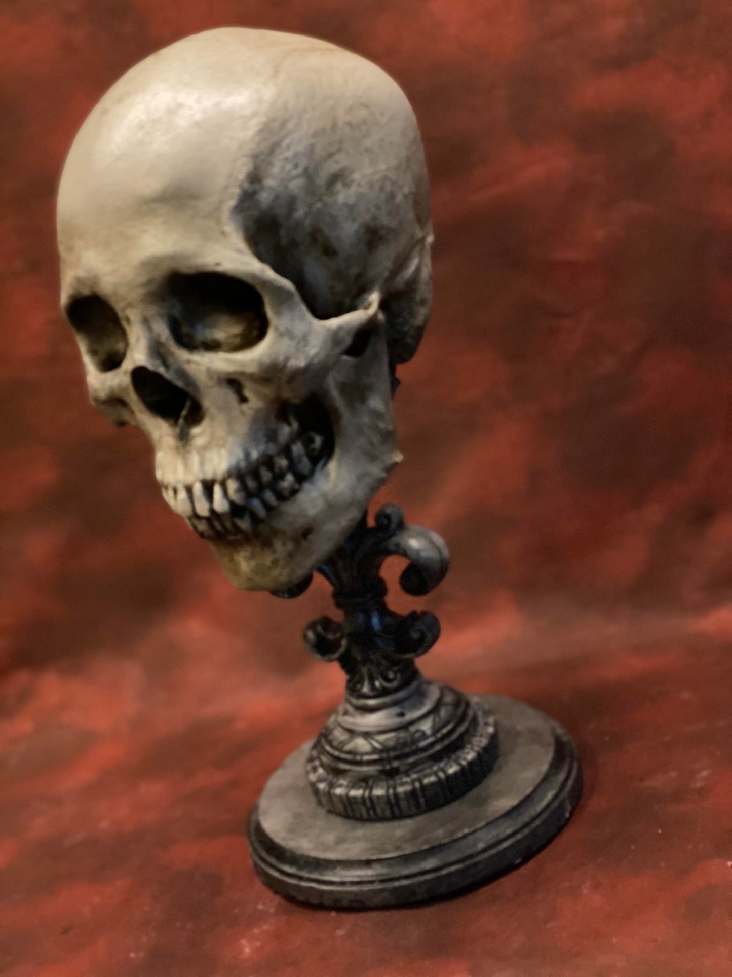Uncarved Male Skull 2