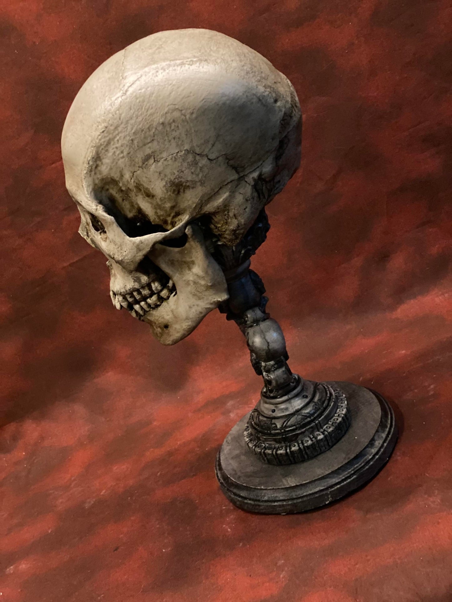Uncarved Male Skull 2