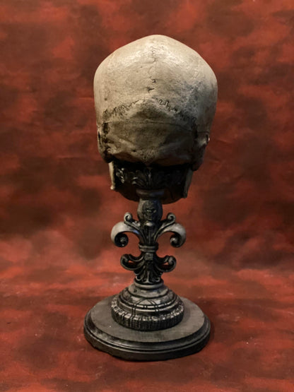 Uncarved Male Skull 2