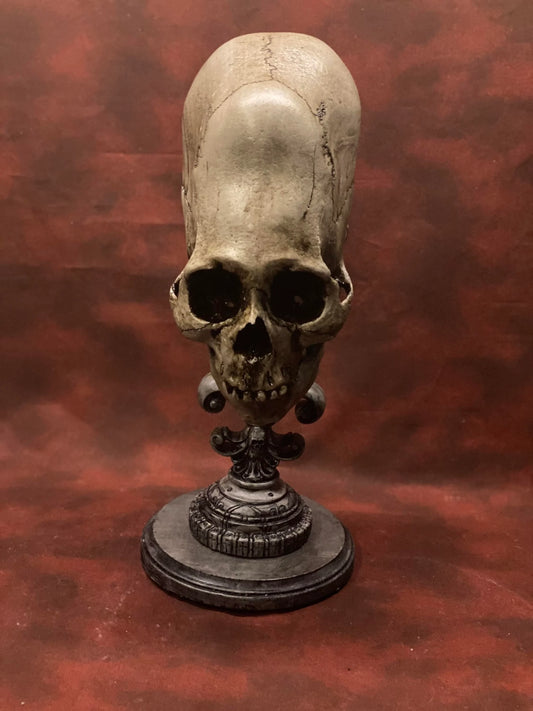 Peruvian Skull