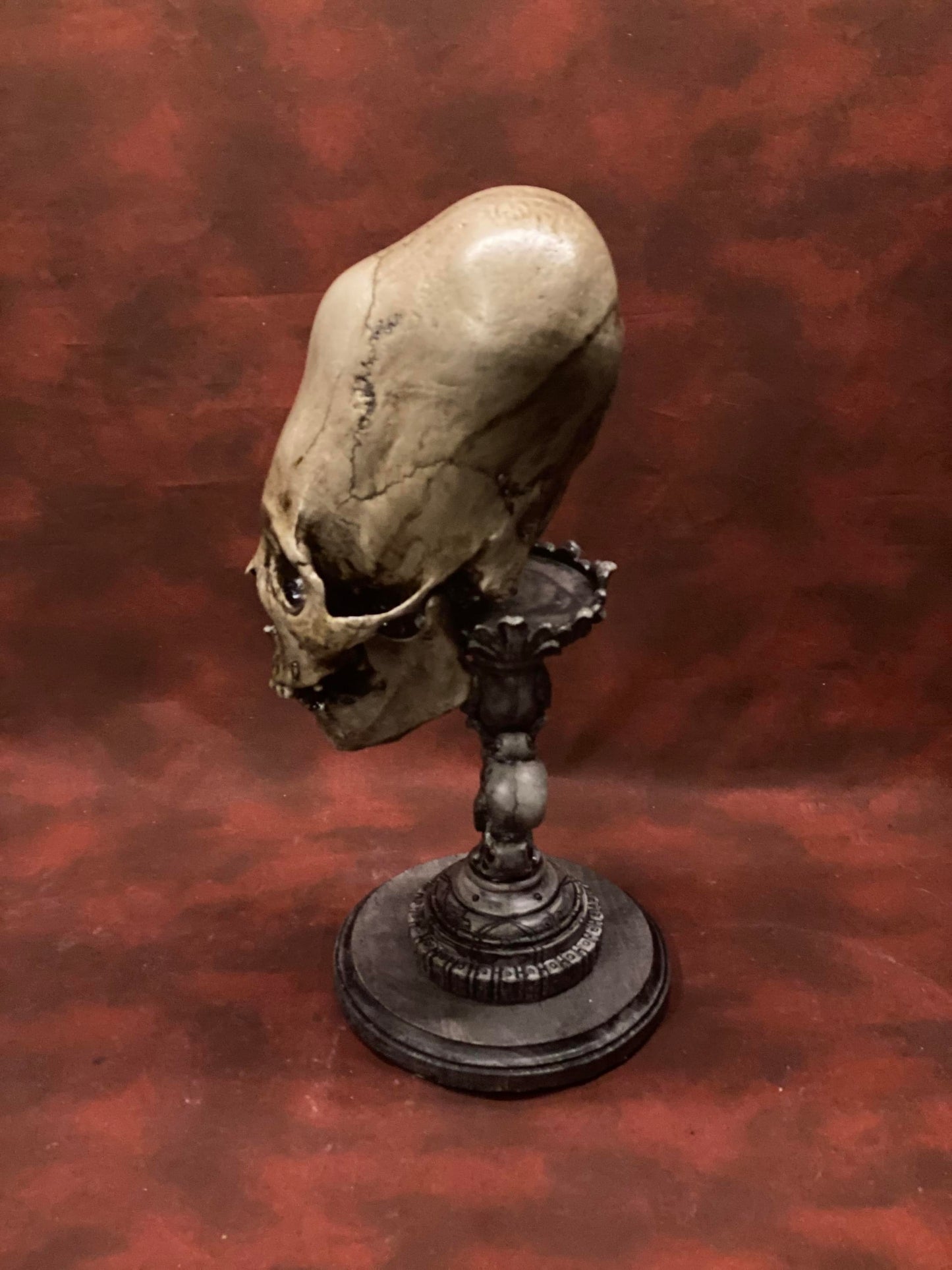 Peruvian Skull