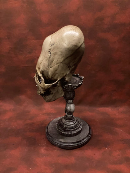 Peruvian Skull