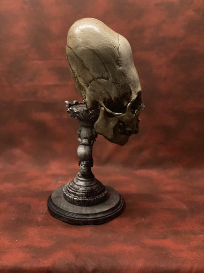 Peruvian Skull