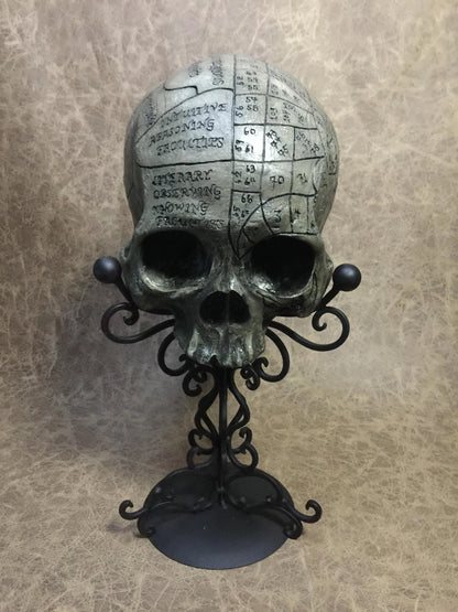 Phrenology Skull