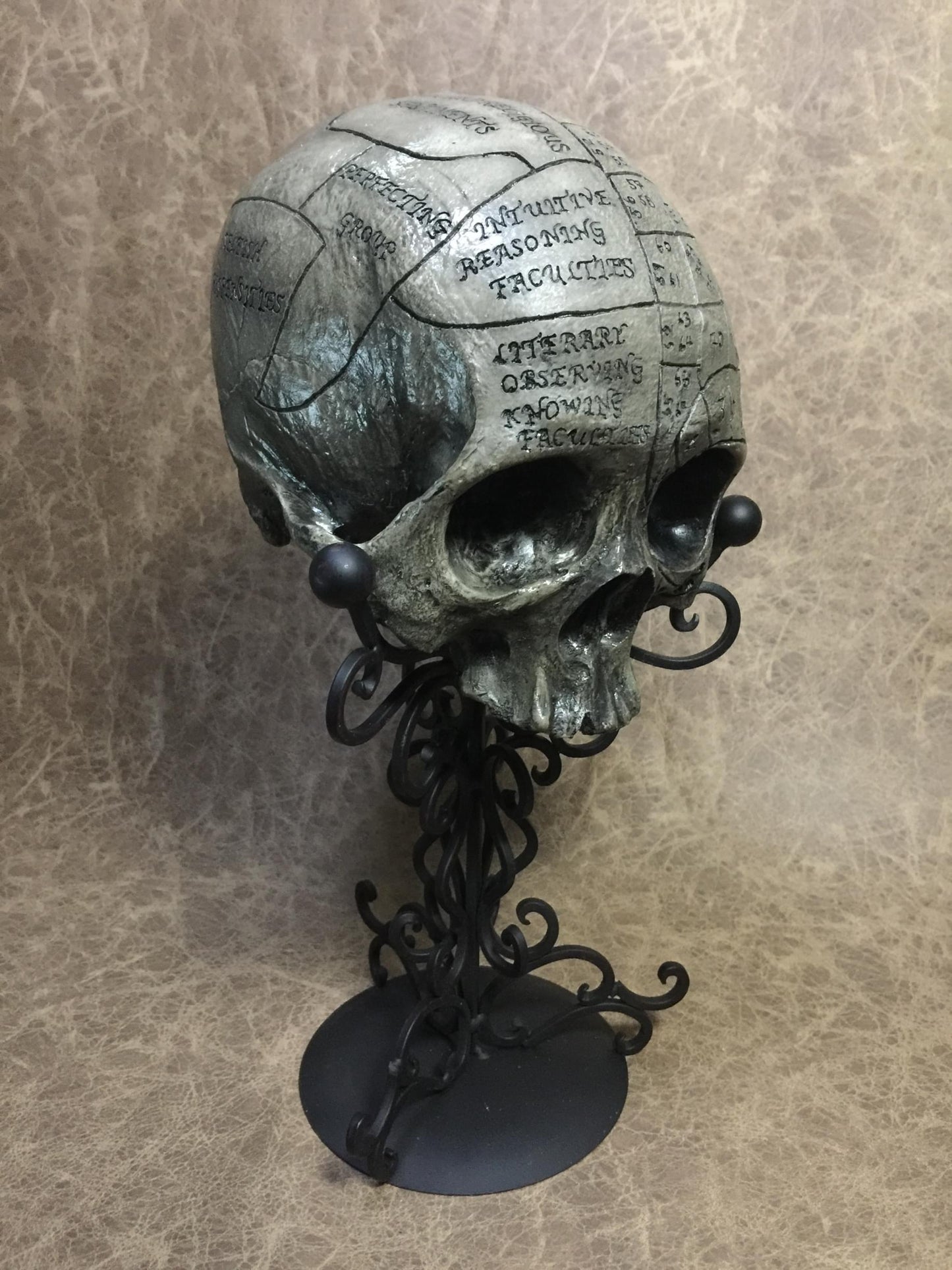 Phrenology Skull