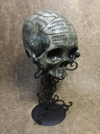 Phrenology Skull