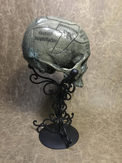 Phrenology Skull