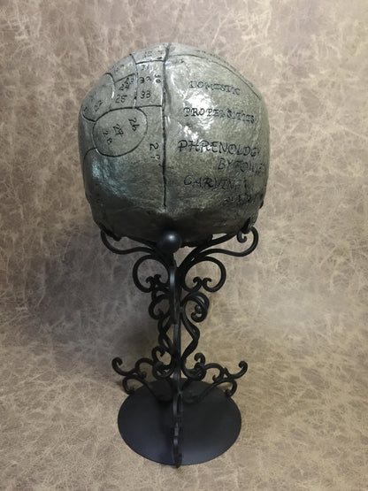 Phrenology Skull