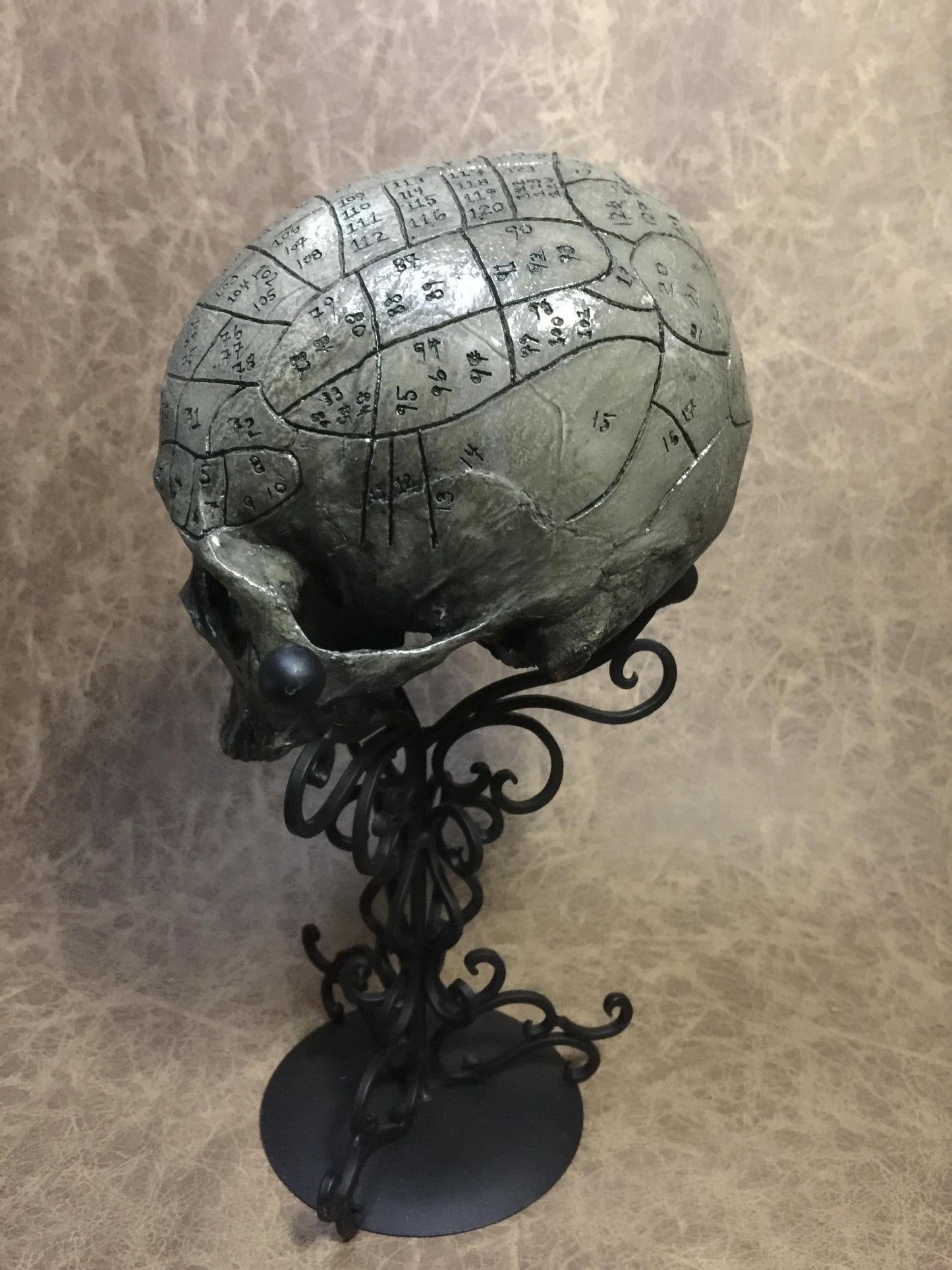 Phrenology Skull