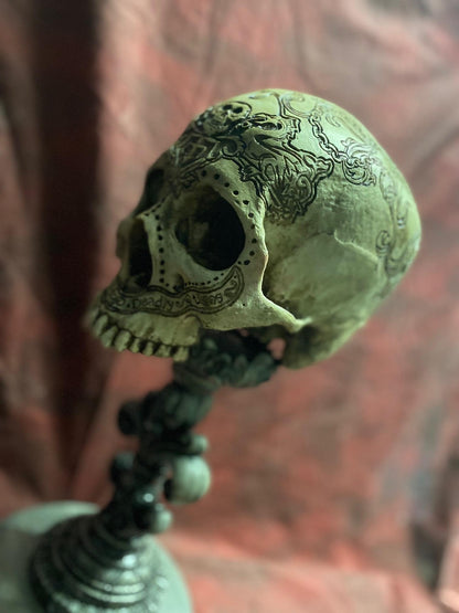 The Pirate and the Mermaid Skull