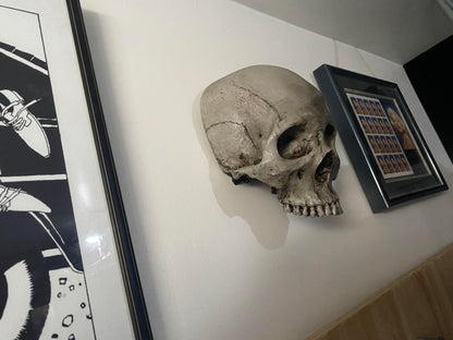 Wall Hung - Masonic Lodge Skull