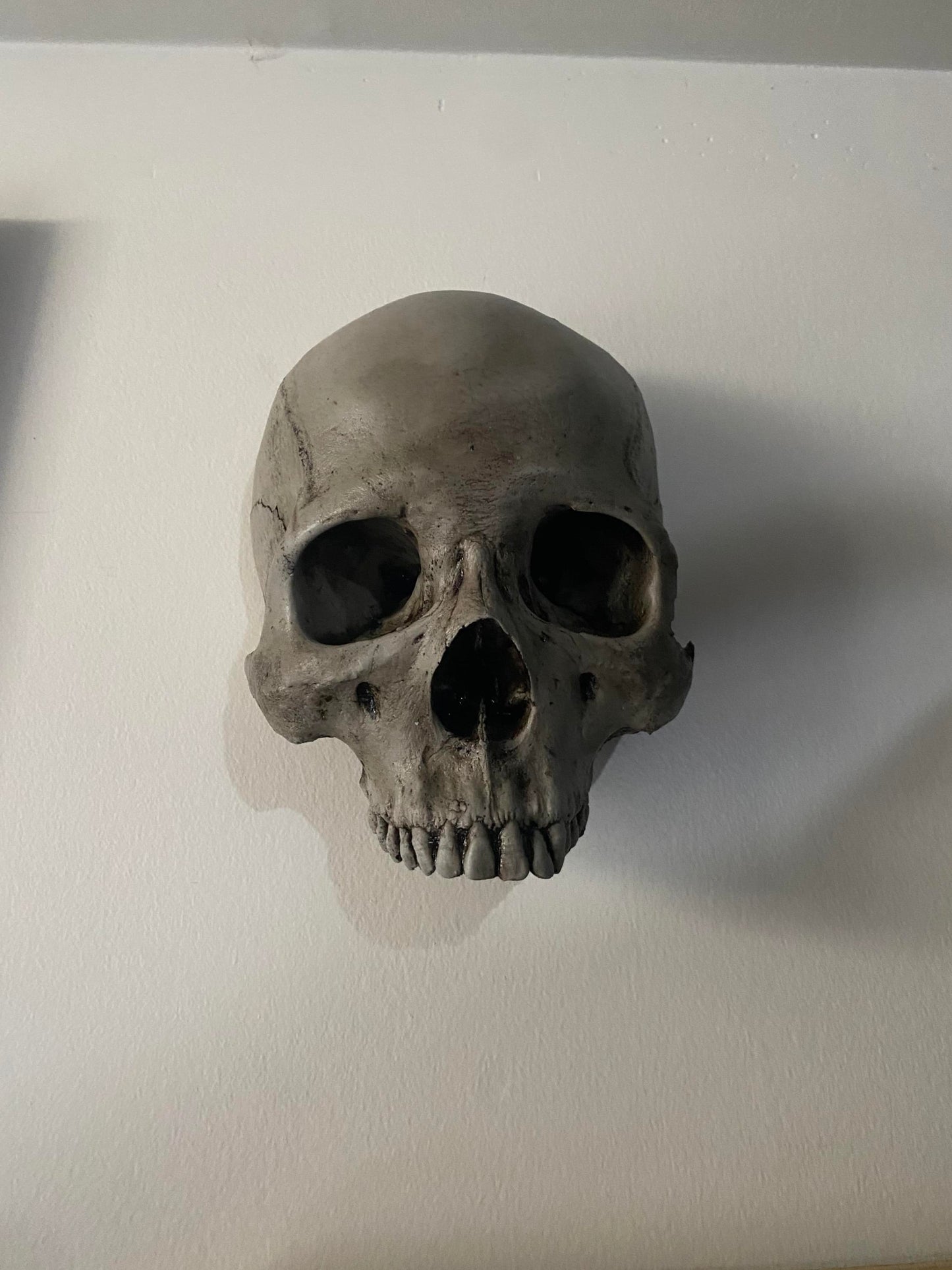 Wall Hung - Masonic Lodge Skull