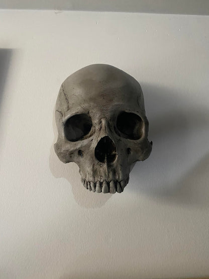 Wall Hung - Masonic Lodge Skull