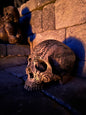 Sirius Black Tattoo Skull - ORIGINAL PIECE