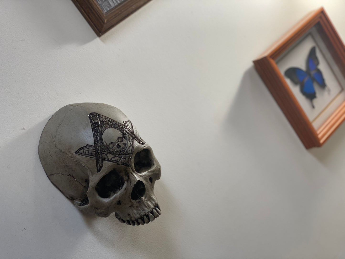 Wall Hung - Masonic Lodge Skull