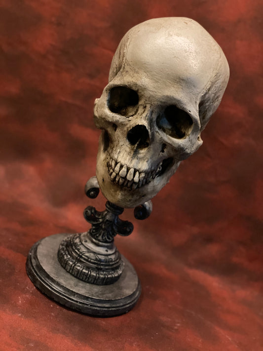 Uncarved Male Skull 2